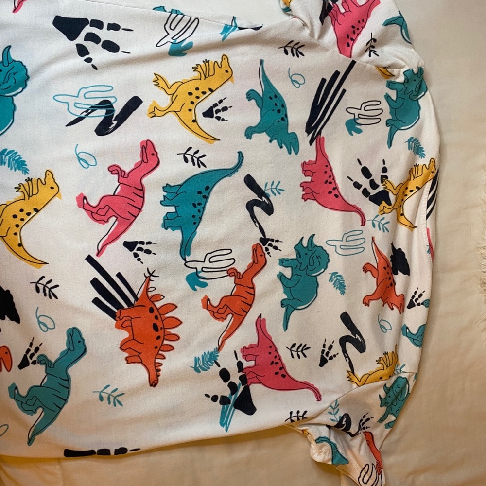 dinosaur graphic T